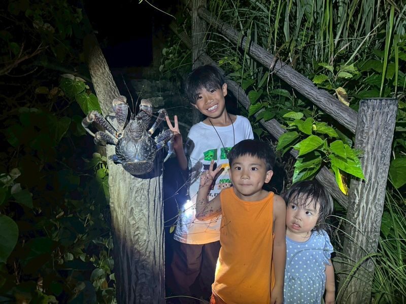 Miyako Island:Exploring the jungle under the stars and at night - Is the price good value?