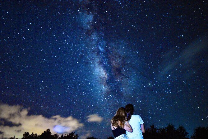 Miyako Island Jungle Night Tour and Starry Sky Viewing - Who Should Consider This Tour?