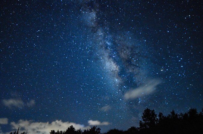 Miyako Island Jungle Night Tour and Starry Sky Viewing - FAQ