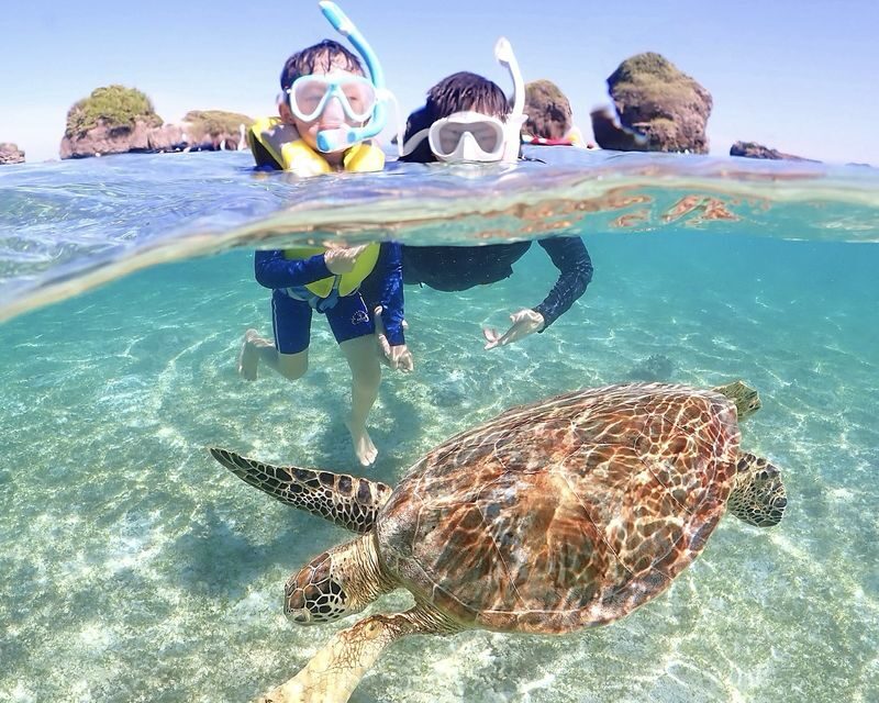 Miyako Island | Outstanding transparency! Snorkeling with sea turtles & Nemo - Is the price good value?