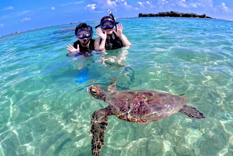 Miyako Island Sea Turtle Snorkeling & Beach SUP or Canoe 1-Day/Half-Day Experience (Okinawa) - Price, Transport, and What to Pack