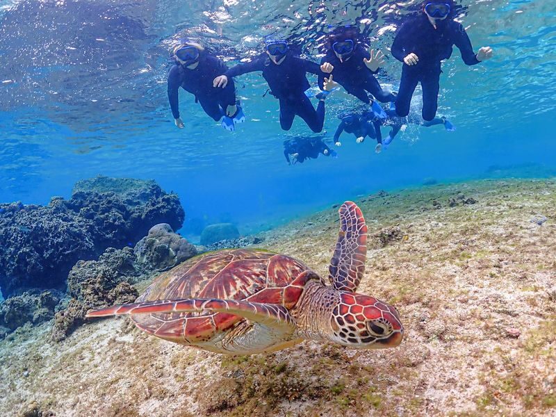 Miyako Island Sea Turtle Snorkeling Half-Day Experience (Okinawa) - Photos are a real extra, with limits