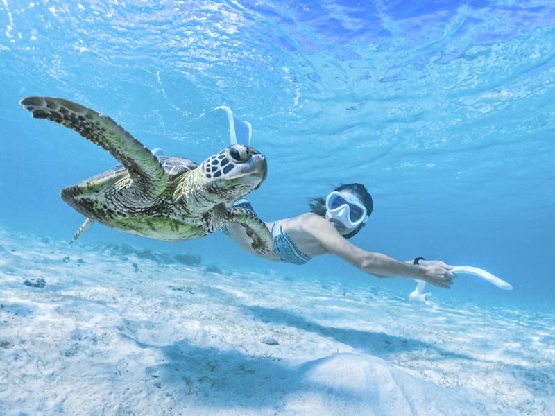 Miyako Island Sea Turtle Snorkeling Half-Day Experience (Okinawa) - Should you book this Miyakojima turtle snorkel?