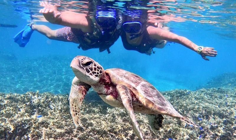 Miyako Island Snorkeling and Caving Experience (Okinawa) - What to know before you book
