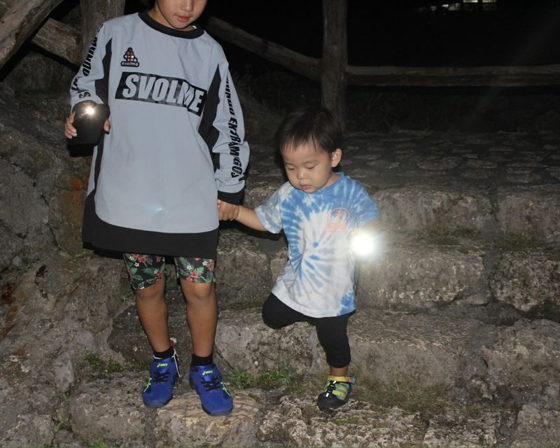 Miyako Island: Stargazing & Tropical Jungle Night Tour - Looking for coconut crabs and smaller creatures