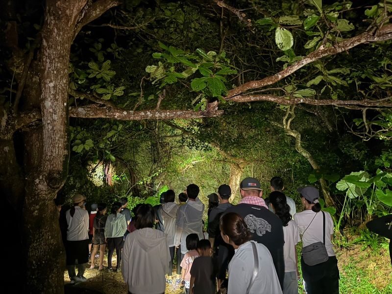 Miyako Island: Stargazing & Tropical Jungle Night Tour - What the 60 to 90 minutes feel like
