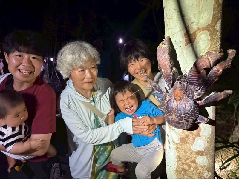 Miyako Island: Stargazing & Tropical Jungle Night Tour - Choosing hotel transport or meeting on site
