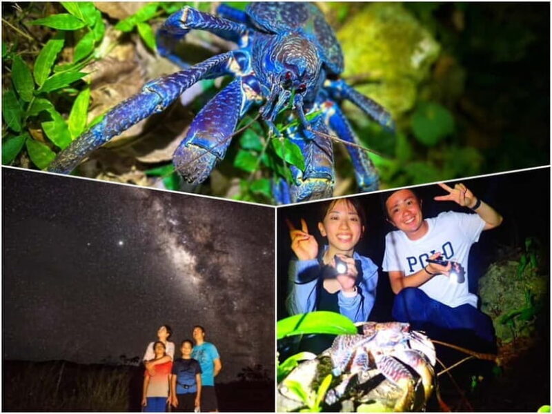 Miyako Island: Stars & Jungle Night Walking Tour - Summary