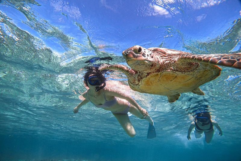 Miyako Island: Swim with Sea Turtles! Snorkeling + Photos - Shigira Beach and the search for turtles