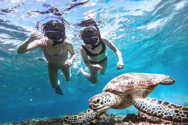 Miyako Island: Swim with Sea Turtles! Snorkeling + Photos - Meeting at Parking Lot 2