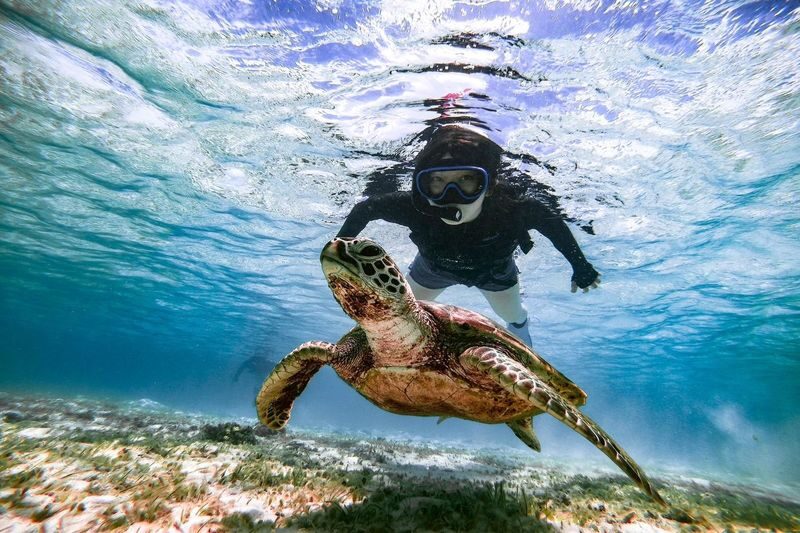 Miyako Island: Swim with Sea Turtles! Snorkeling + Photos - How the price compares with the experience