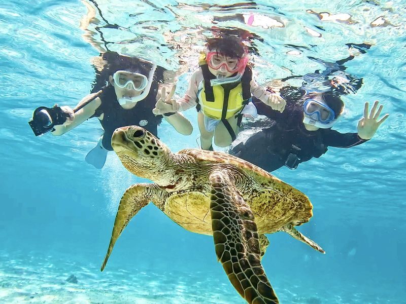 Miyako Island: Swim with Sea Turtles! Snorkeling + Photos - Weather, wildlife, and responsible snorkeling