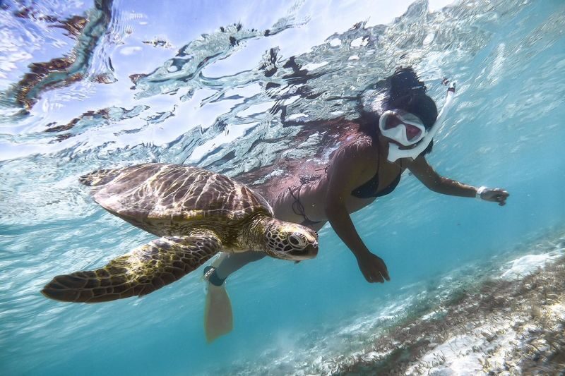 Miyako Island: Swim with Sea Turtles! Snorkeling + Photos - Who should book this Shigira snorkel?