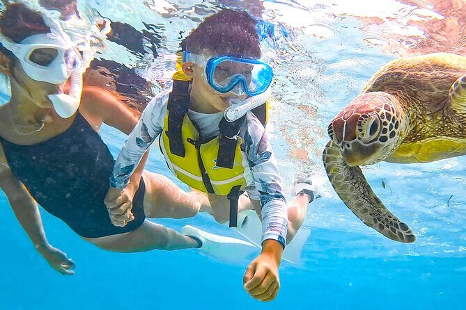 Miyako Two Activities in Half Day SUP and Sea Turtle Snorkeling - Explore Miyakojima’s Marine Paradise with Confidence