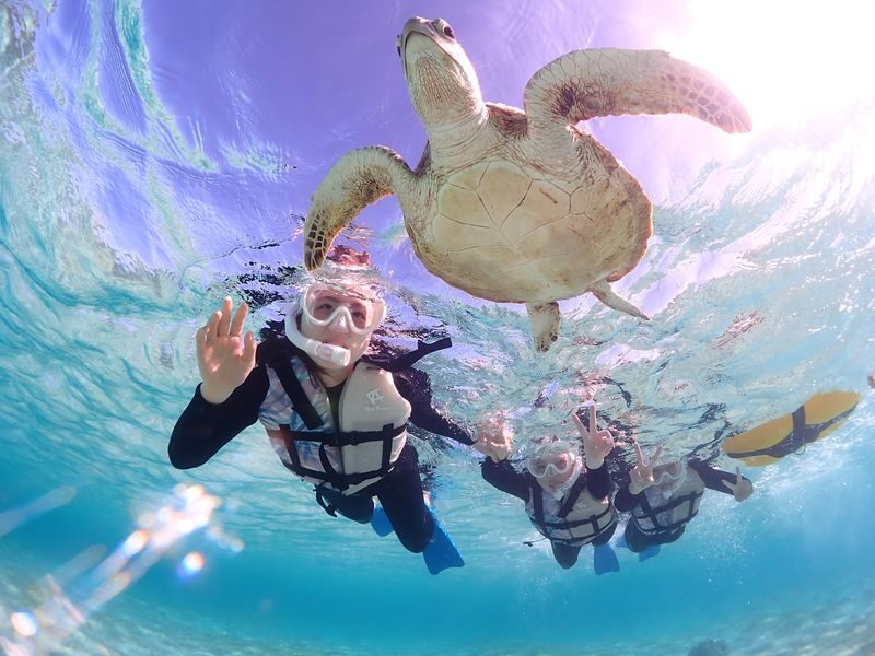 Miyakojima "100% Encounter Rate Continues" [Private Sea Turtle Snorkeling] | Beginners OK, Free Photo Data, Same-Day Booking Available, Pick-up/Drop-off Consultation Available - Why a shore entry changes the experience