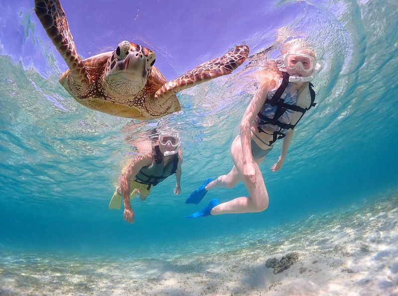 Miyakojima "100% Encounter Rate Continues" [Private Sea Turtle Snorkeling] | Beginners OK, Free Photo Data, Same-Day Booking Available, Pick-up/Drop-off Consultation Available - Is this Miyakojima turtle snorkel right for you?
