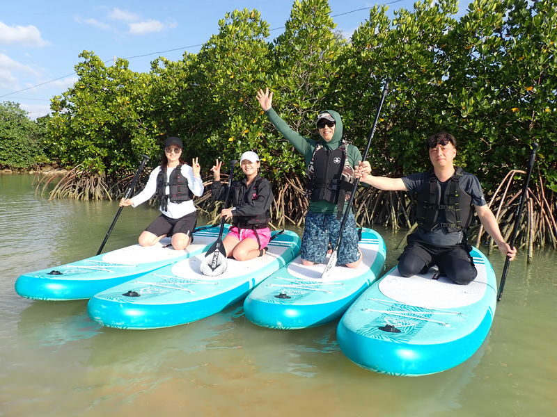 Miyakojima Jungle Mangrove SUP Tour - A different side of Miyakojima