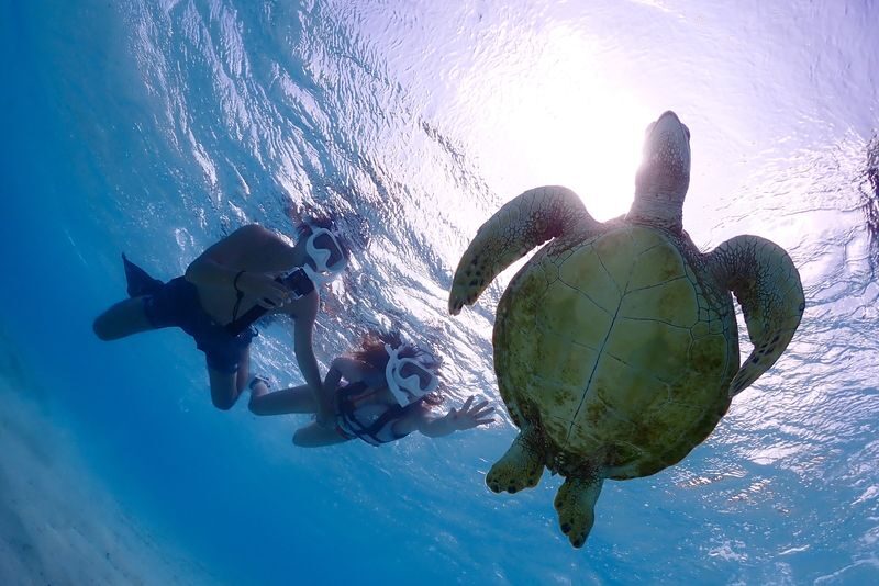 Miyakojima: Private Sea Turtle & Nemo Snorkeling w/Drone - A private snorkel from shore