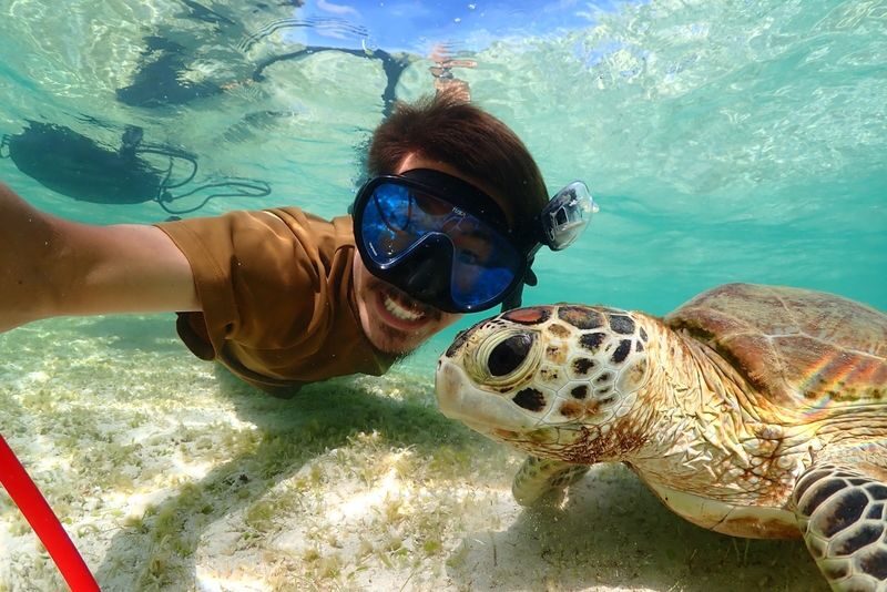 Miyakojima: Private Sea Turtle & Nemo Snorkeling w/Drone - What the two hours look like