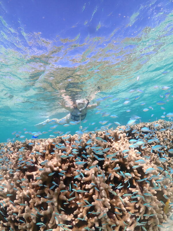 Miyakojima: Small-Group Sea Turtle & Nimo Snorkeling (English tour) - Free photos are a real part of the value
