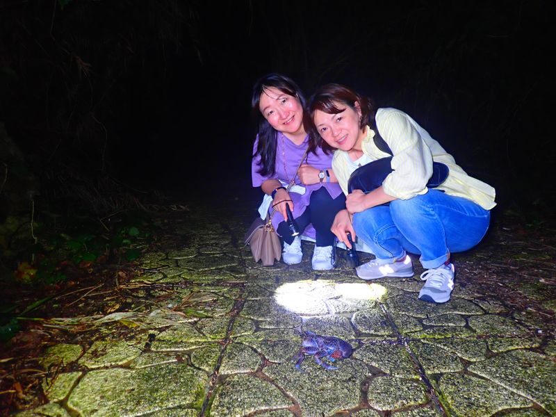 Miyakojima: Stargazing Experience & Jungle Night Tour - What the price includes
