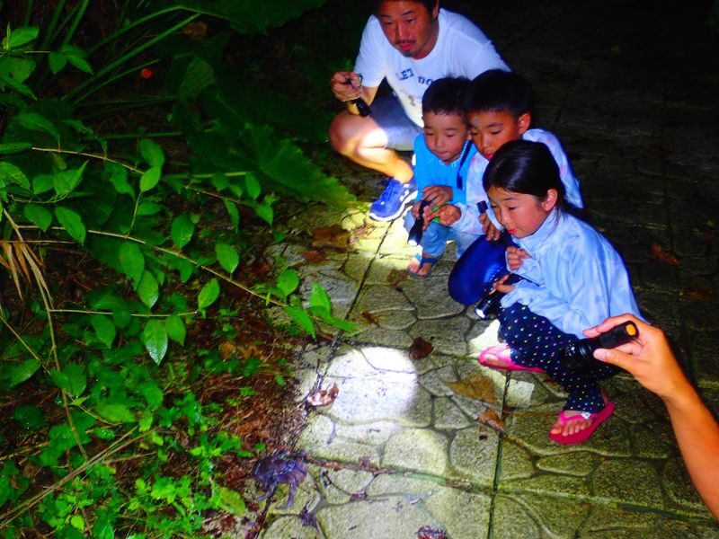 Miyakojima: Stargazing Experience & Jungle Night Tour - Who should book this night tour