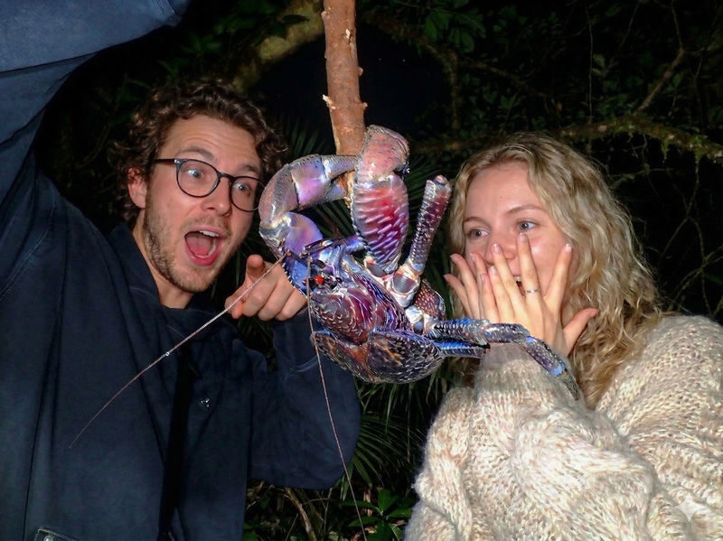 Miyakojima Subtropical Jungle & Stargazing Night Tour (Okinawa) - A night walk for wildlife, not a guaranteed crab sighting