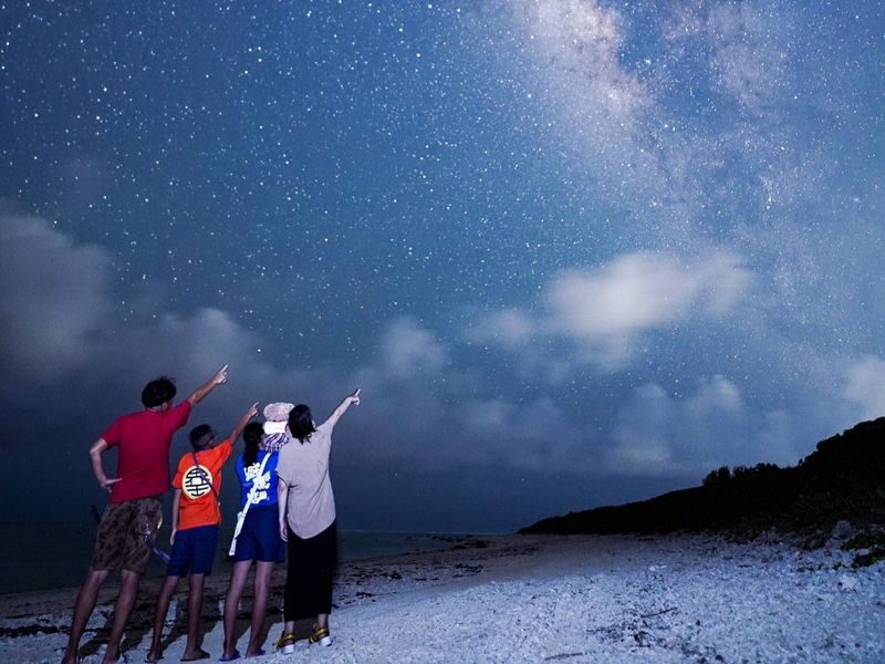 Miyakojima Subtropical Jungle & Stargazing Night Tour (Okinawa) - What happens between 20:00 and 21:30