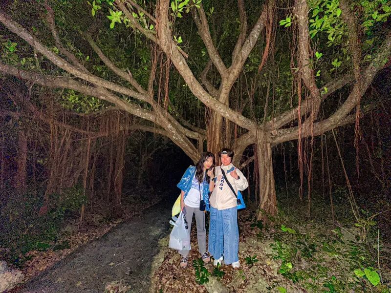Miyakojima Subtropical Jungle & Stargazing Night Tour (Okinawa) - Guides, language and the group atmosphere