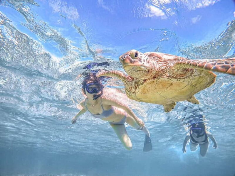 Miyakojima: SUP and Snorkeling- Two Activities in One Day - Exploring Miyakojima’s SUP and Snorkeling Tour