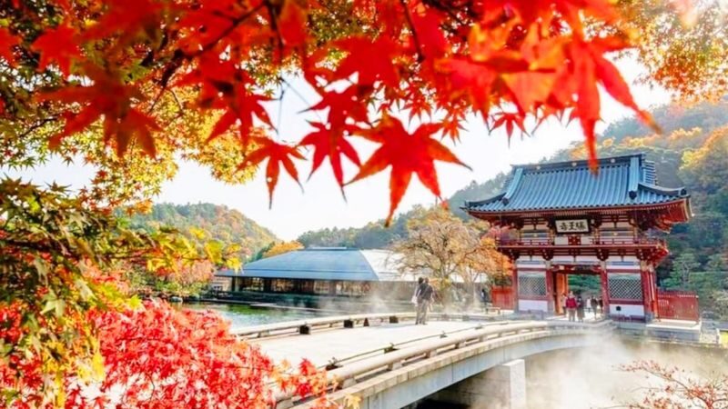 Miyama Thatched Village & Katsuoji Temple & Arashiyama Bamboo Forest Path & Nonomiya Shrine Day Trip | Departing from Osaka - Miyama’s thatched roofs, a countryside change of pace
