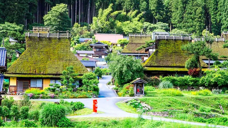 Miyama Thatched Village & Katsuoji Temple & Arashiyama Bamboo Forest Path & Nonomiya Shrine Day Trip | Departing from Osaka - Arashiyama’s bamboo path and the Nonomiya question