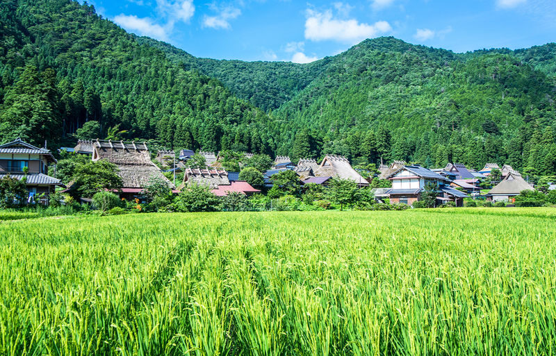 Miyama Thatched Village & Katsuoji Temple & Arashiyama Bamboo Forest Path & Nonomiya Shrine Day Trip | Departing from Osaka - A guide and driver make the long route easier