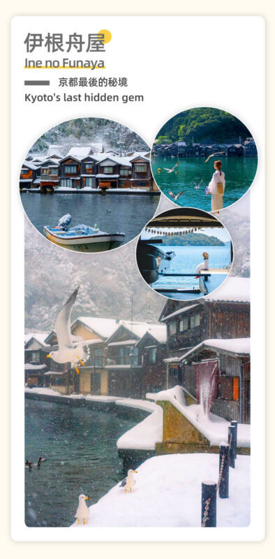 Miyama village illumination & Amanohashidate bus tour (with Japanese dessert making experience) - What the price covers, and what it does not