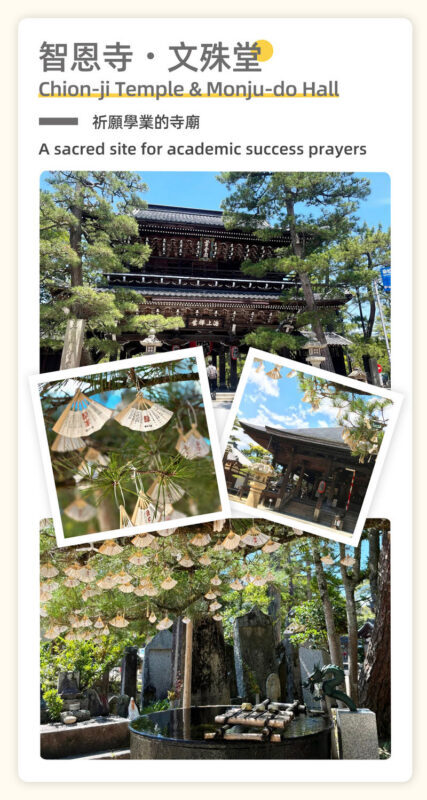 Miyama village illumination & Amanohashidate bus tour (with Japanese dessert making experience) - Should you book this Miyama and Amanohashidate day trip?