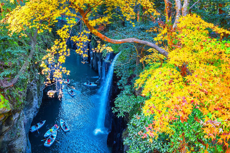 Miyazaki Kumamoto Exploration Tour | Kamishikimi Kumanoza Shrine, Amanoiwato, Takachiho Gorge, Mount Aso, Kurokawa Onsen Day Trip | Departing from Fukuoka - At a glance