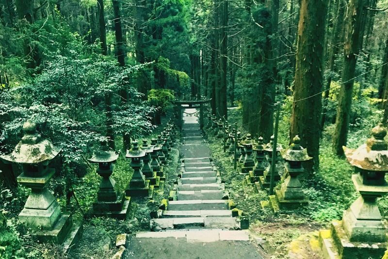 Miyazaki Kumamoto Exploration Tour | Kamishikimi Kumanoza Shrine, Amanoiwato, Takachiho Gorge, Mount Aso, Kurokawa Onsen Day Trip | Departing from Fukuoka - Choose the route that matches your priorities
