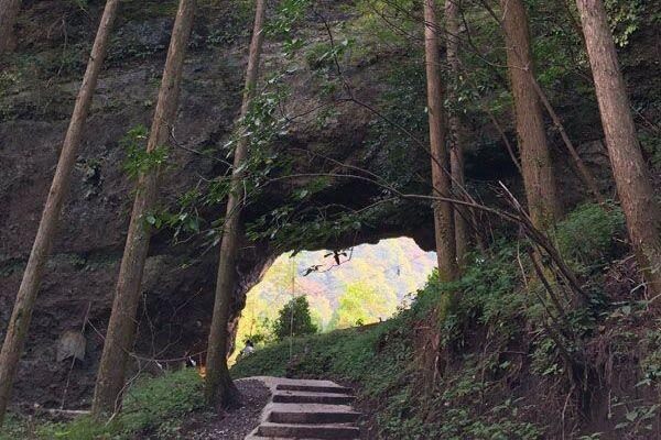 Miyazaki Kumamoto Exploration Tour | Kamishikimi Kumanoza Shrine, Amanoiwato, Takachiho Gorge, Mount Aso, Kurokawa Onsen Day Trip | Departing from Fukuoka - Kamishikimi Kumanoza Shrine: lanterns and a steep approach
