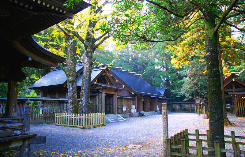 Miyazaki Kumamoto Exploration Tour | Kamishikimi Kumanoza Shrine, Amanoiwato, Takachiho Gorge, Mount Aso, Kurokawa Onsen Day Trip | Departing from Fukuoka - Amanoiwato: myth, shrine grounds and a riverside cave