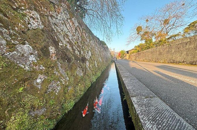 Miyazaki Private Tour by Car - Practical Tips for Your Miyazaki Private Tour