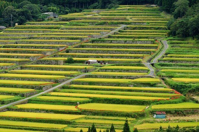 Miyazaki Private Tour by Car - Final Thoughts