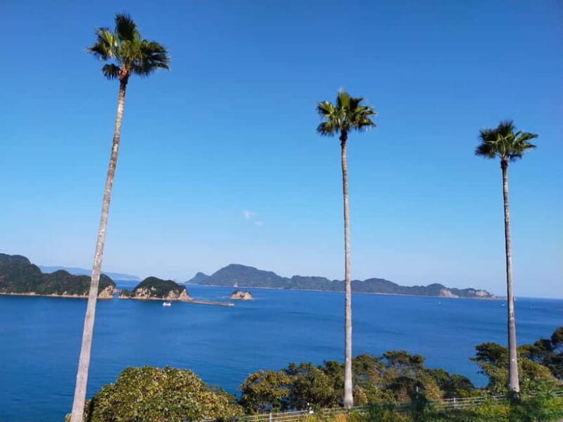 Miyazaki: Surfing & SUP Lesson with Equipment Rental - Key Points