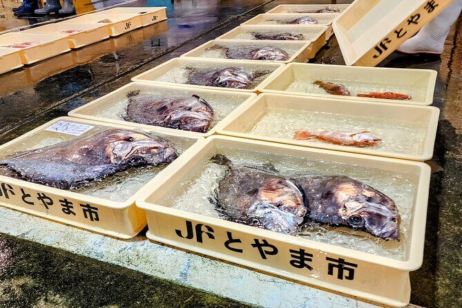 Mizuhashi Fishing Port Tokyo City Sightseeing - Why the Tour Works Well