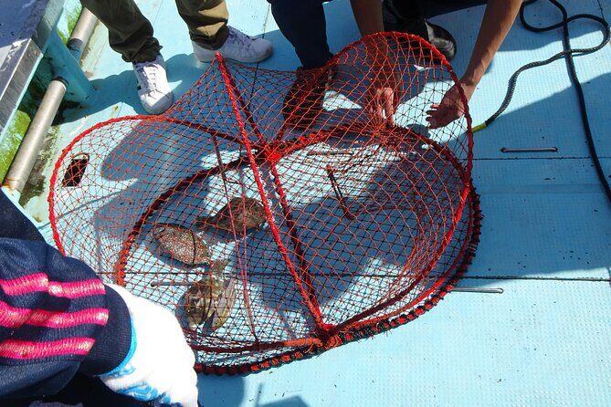 Mizuhashi Fishing Port Tokyo City Sightseeing - The Sum Up