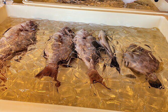 Mizuhashi Fishing Port Tokyo City Sightseeing - FAQ