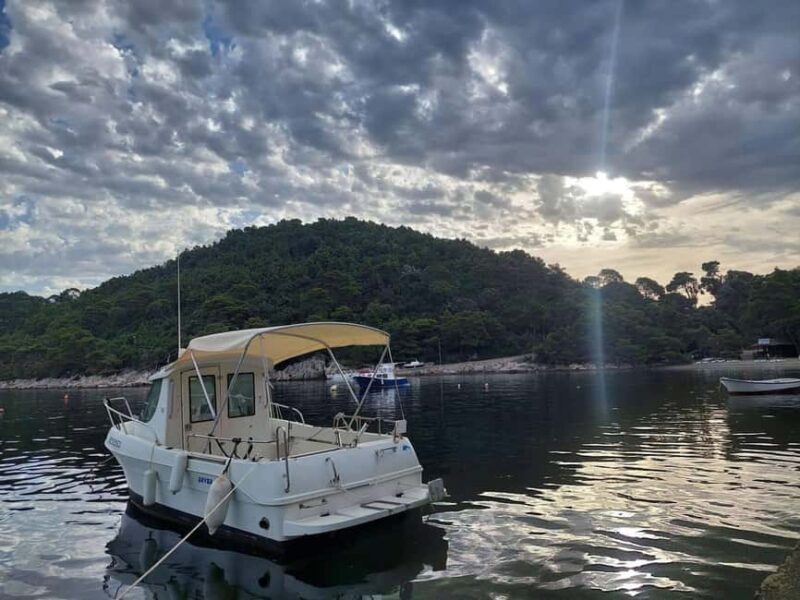 Mljet: Private Boat Tour to Odysseus Cave from Saplunara - Introduction