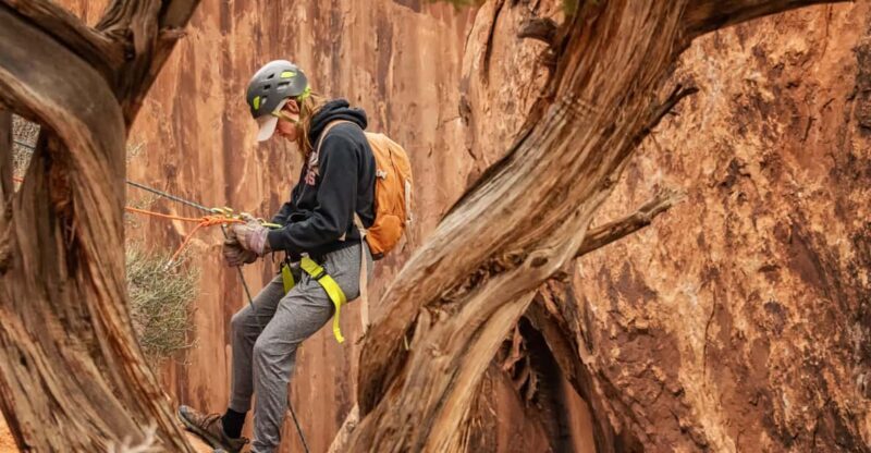 Moab: Fins and Things Canyoneering Adventure tour - A Deep Dive into the Fins and Things Canyoneering Experience