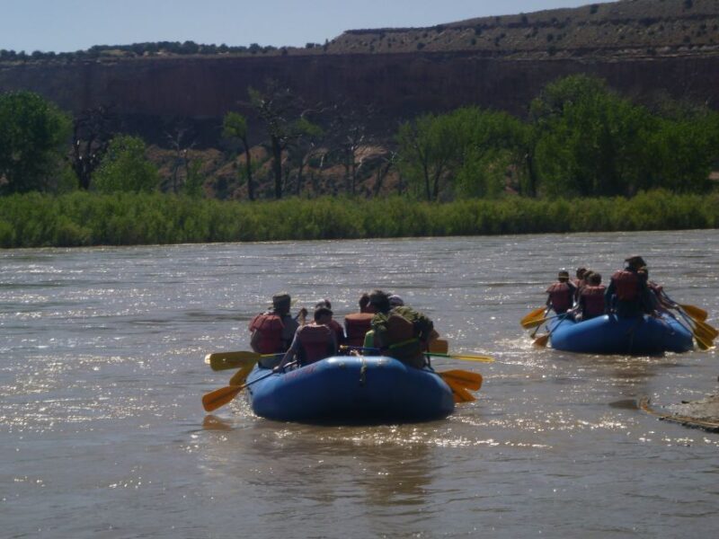 Moab: Full-Day Colorado Rafting Tour - An In-Depth Look at the Moab Colorado River Rafting Experience