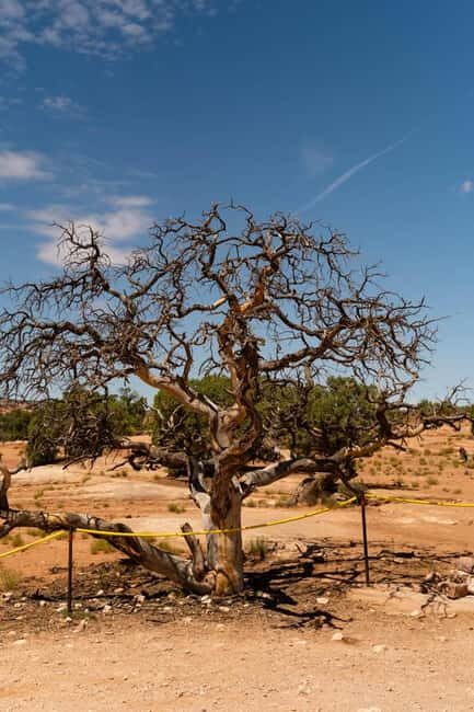 Moab Half Day Jeep Tour - FAQ