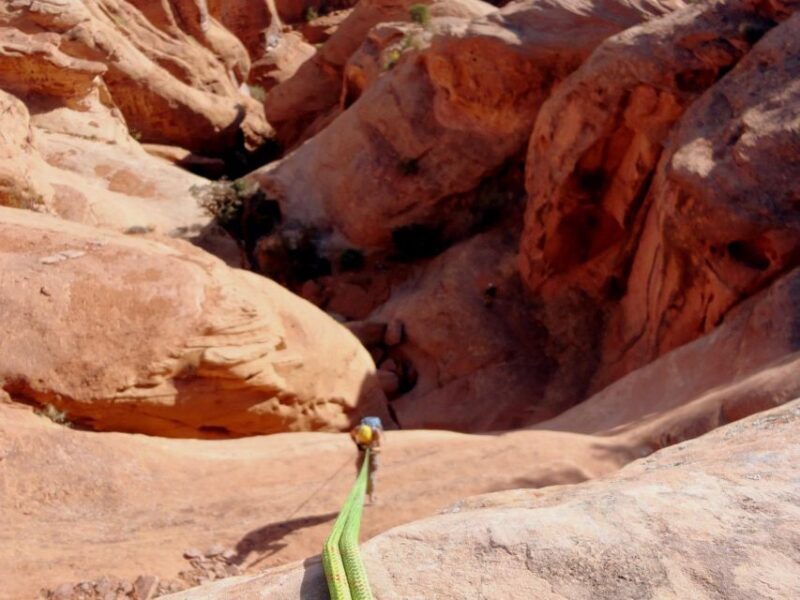 Moab: Morning or Afternoon Half-Day Rappelling Tour - An In-Depth Look at the Moab Rappelling Experience